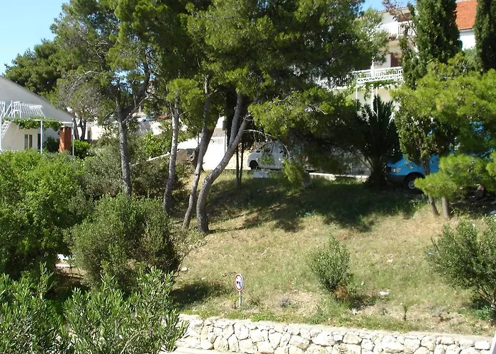 Bozo